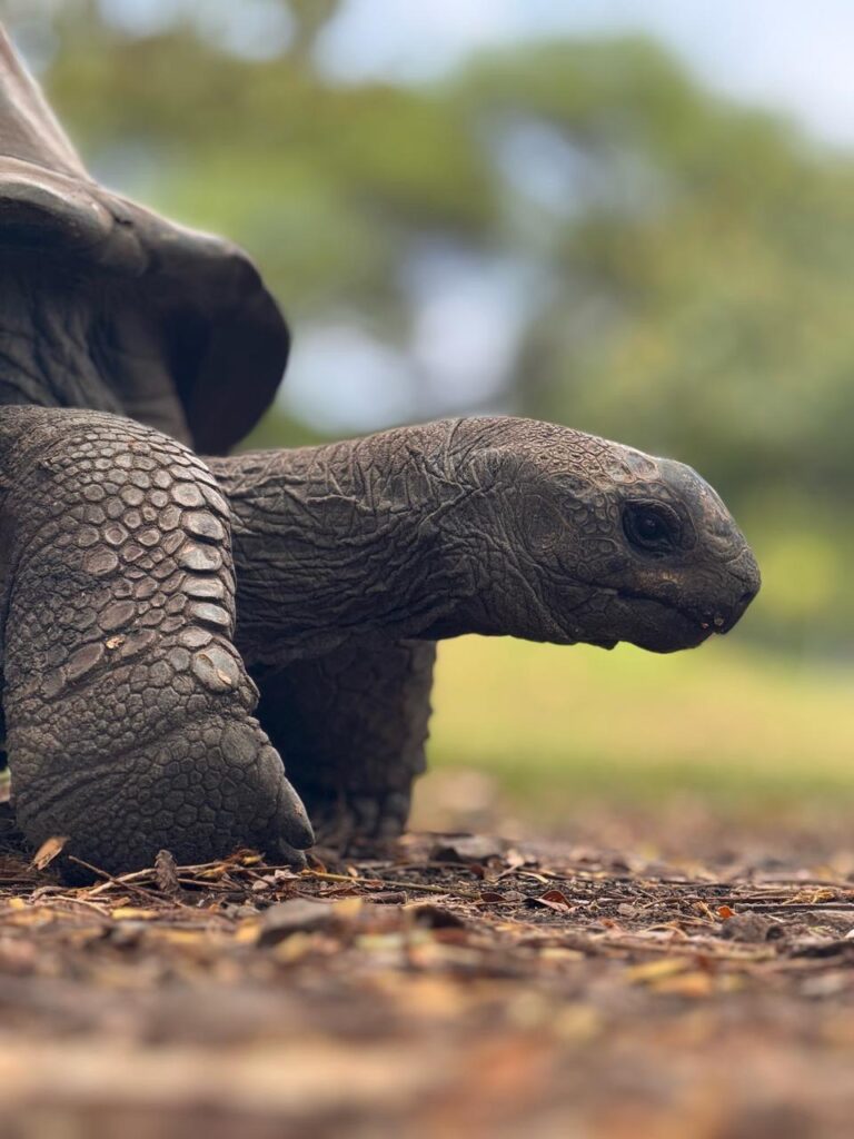 Why 50 is the new 30 for startups and your corporate experience is not baggage but a combat arsenal photo 2025 11 26 19 40 06